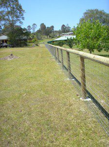 Dog / Hinge Joint Fencing – Top Notch Fencing